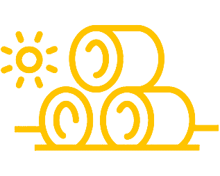 Vision