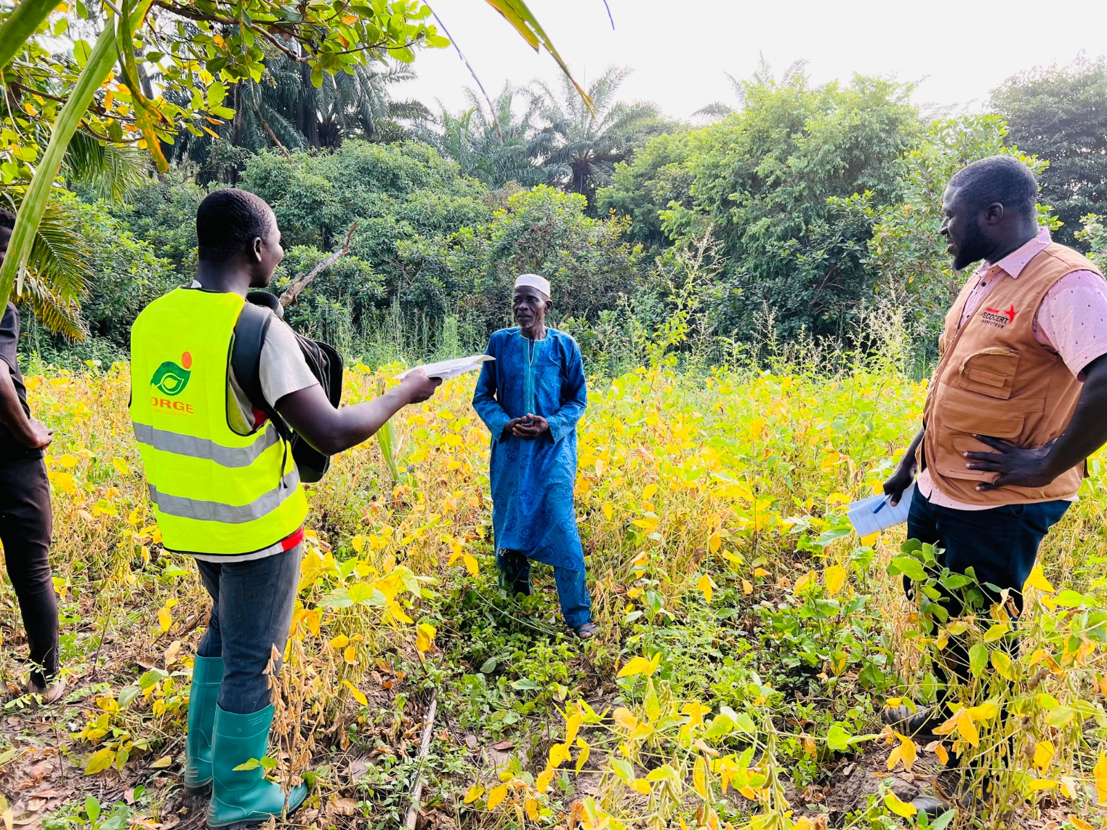 Projet de production du soja biologique 